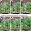 AISITIN 2.5W DIY Solar Fountain Pump with 6 Nozzles & 4ft Flexible Hose | Solar Water Pump for Bird Baths, Garden Ponds, Fish Tanks, and Patio Water Features – Quick Setup(2.5W (1 Pack))