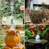 AISITIN 2.5W DIY Solar Fountain Pump with 6 Nozzles & 4ft Flexible Hose | Solar Water Pump for Bird Baths, Garden Ponds, Fish Tanks, and Patio Water Features – Quick Setup(2.5W (1 Pack))