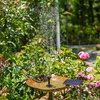 AISITIN 2.5W DIY Solar Fountain Pump with 6 Nozzles & 4ft Flexible Hose | Solar Water Pump for Bird Baths, Garden Ponds, Fish Tanks, and Patio Water Features – Quick Setup(1.5W (1 Pack))