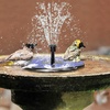 AISITIN 3.5W Solar Fountain Pump for Bird Bath Separated Design & 8 Nozzles | 3 Anti-Drift Brackets, Attracting Birds, Upgrade Filter, Floating DIY Solar Bird Bath Fountain for Garden Fish Tank Pond Yard(Deepblue)
